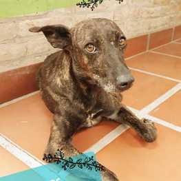 D 872094b1 20cf 457f be20 c62eb5ca4be9