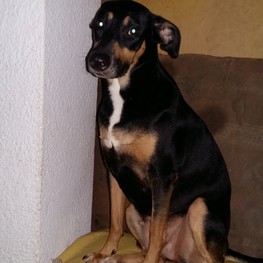 D 7fc46b15 28eb 4736 96d8 c9b53307cc6d