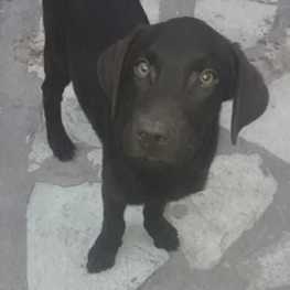 D 542c3bd4 931d 4ca4 8fc1 aaa99a5d332a