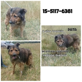 D 1c56712f eb56 4e4c bb91 ced283ed26be