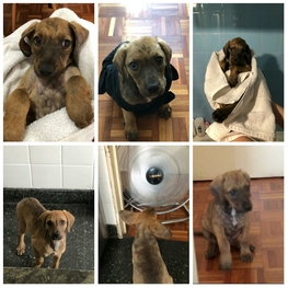 D 3e8b77f7 e46a 4b9c bfac 8c7e8f56082f