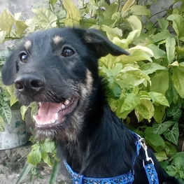 D 50d4779c 01f9 45c1 9794 a034614780a3