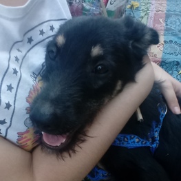 D 4d7e52cb f077 426b 9856 be7d711d3264