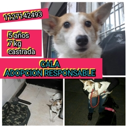 D e96bcde9 3198 43eb 8ab9 9c443afea5bb