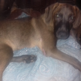 D 87590db6 744a 46a6 86cd da2985092923