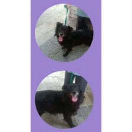 D 44ccfd10 5c28 4005 b568 42f870c6e457