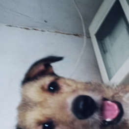 D 25df3051 29aa 44b4 91d1 507682387522