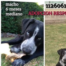 D 2d1f1da5 2cbe 43a5 b46f cab21cdaec20