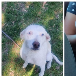 D 487fb629 f87e 4797 9014 41263ddfe909