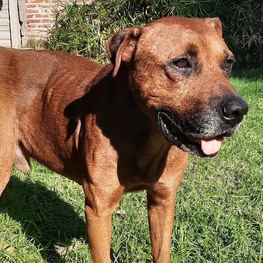 D fc098098 a1d3 46c2 b942 f707caec27ca