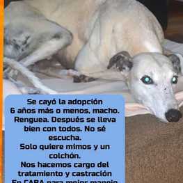 D 60113211 4641 4ecf 8d6b 81709b6e4f26