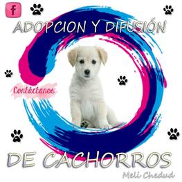 D e9d59a25 d571 420d a256 34e8125c82c4