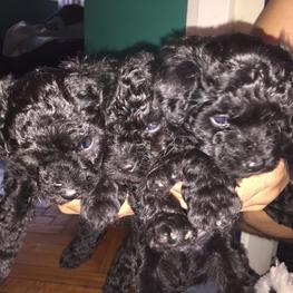 D 3b646a06 0a5b 46b1 b96a 20fa53f35af6