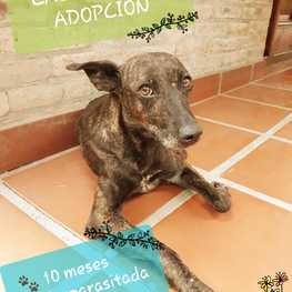 D 1c74343d 746a 4e94 aa93 942aa07831be