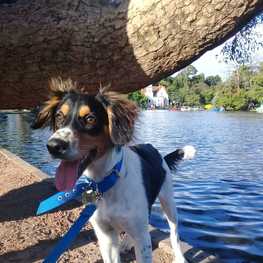 D ffb40c3f c8a2 43ee 9507 24c4ac849301