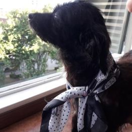 D 0ed45fec 3dab 44b0 b037 9aa38d004caa